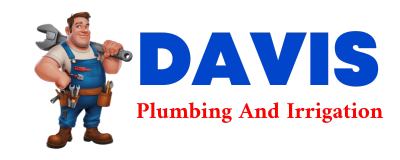 Trusted plumber in LANSE